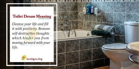 Understanding Toilet Dreams: Their Meanings and Interpretations.